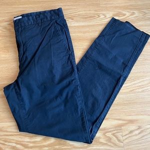 Everlane Navy Pants